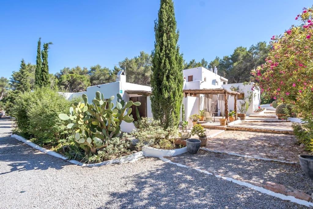 Casa Rosada - Gorgeous Family Finca Near Santa Gertrudis Vila Santa Gertrudis  Exterior foto